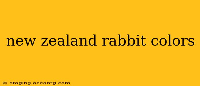 new zealand rabbit colors