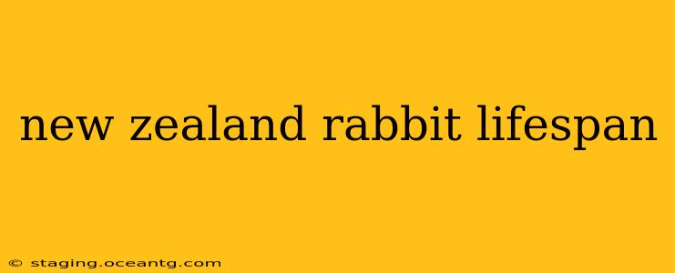 new zealand rabbit lifespan