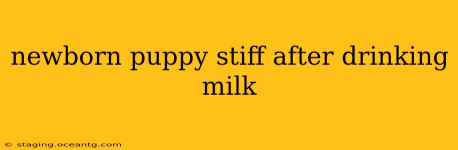 newborn puppy stiff after drinking milk