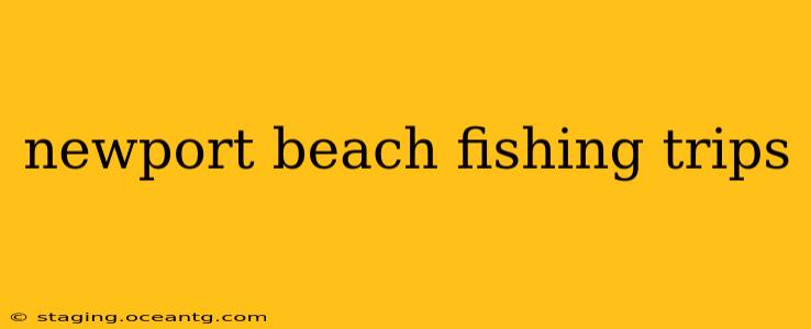 newport beach fishing trips
