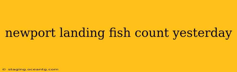 newport landing fish count yesterday
