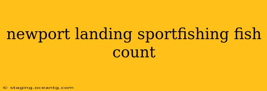 newport landing sportfishing fish count
