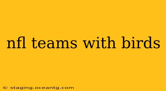 nfl teams with birds