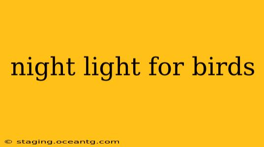 night light for birds