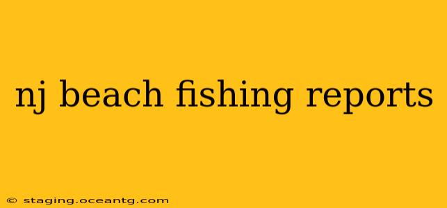nj beach fishing reports