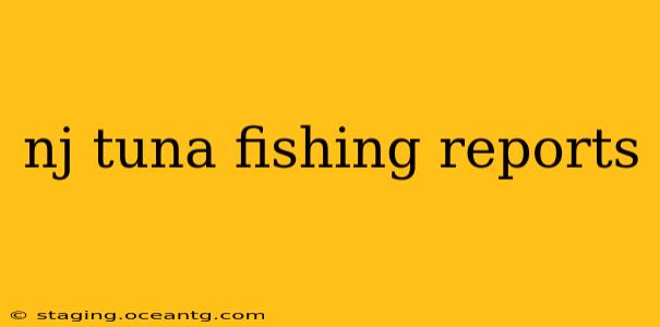 nj tuna fishing reports