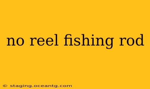 no reel fishing rod