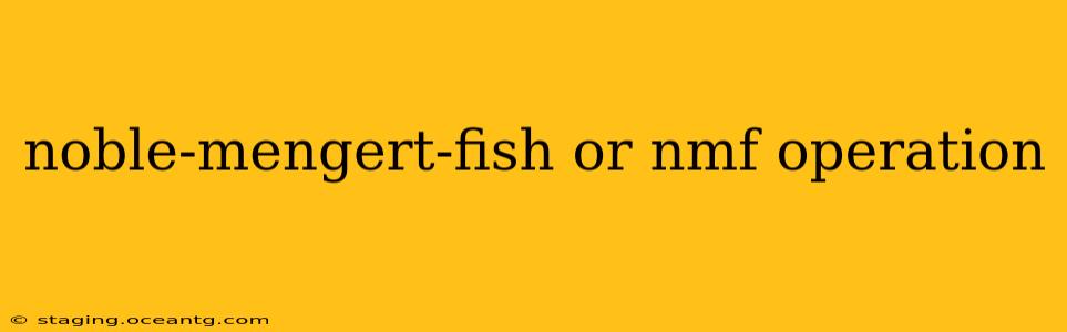 noble-mengert-fish or nmf operation