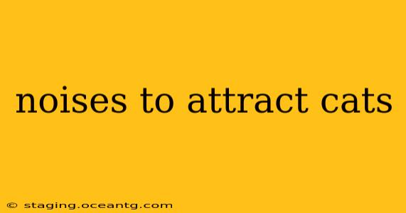 noises to attract cats