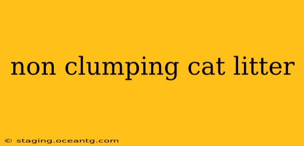 non clumping cat litter