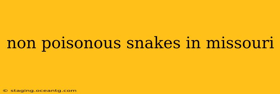 non poisonous snakes in missouri