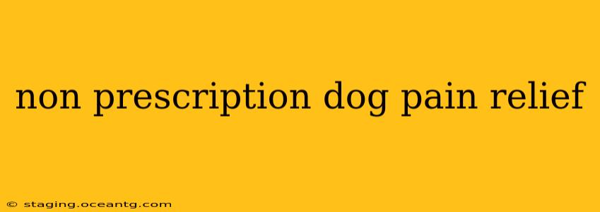 non prescription dog pain relief