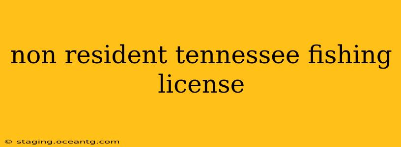 non resident tennessee fishing license