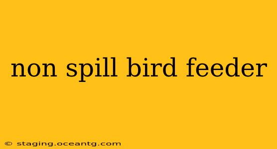 non spill bird feeder