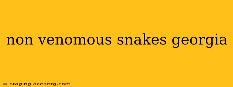 non venomous snakes georgia