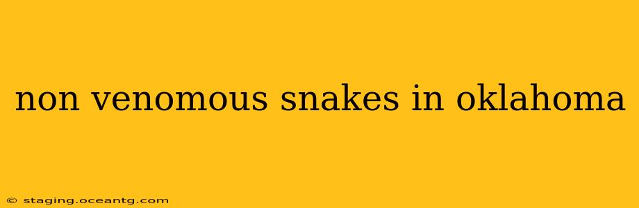 non venomous snakes in oklahoma