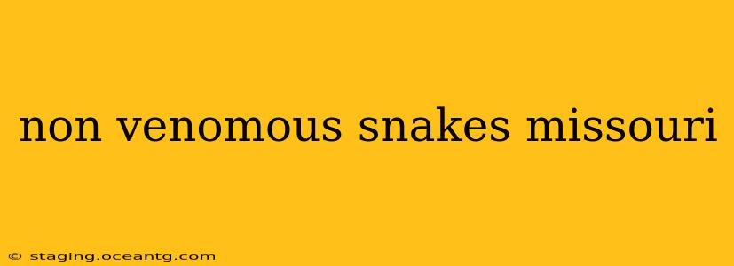 non venomous snakes missouri