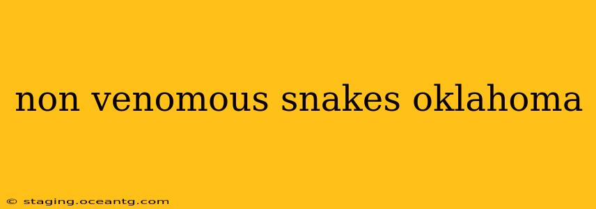 non venomous snakes oklahoma
