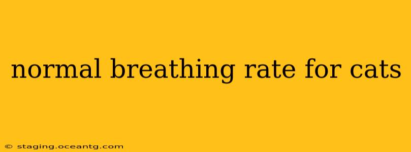 normal breathing rate for cats