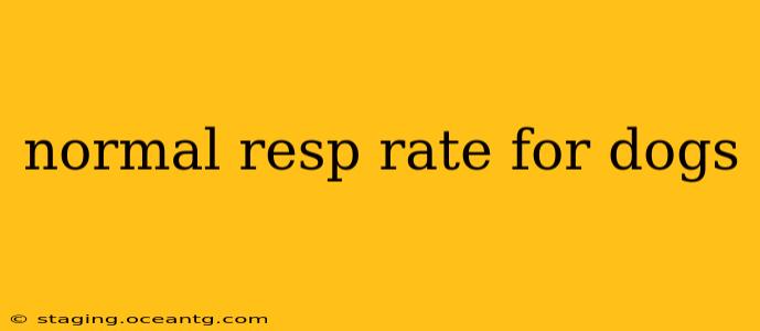 normal resp rate for dogs