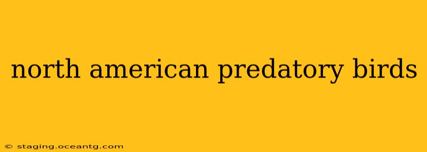 north american predatory birds