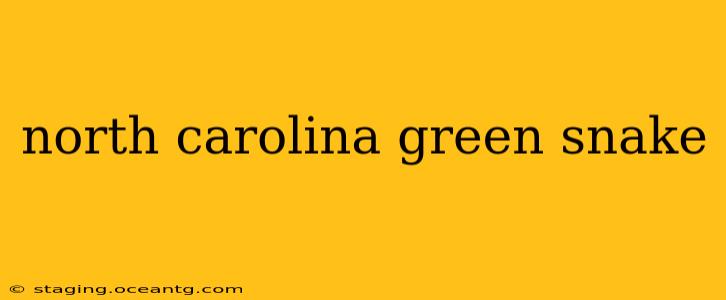 north carolina green snake