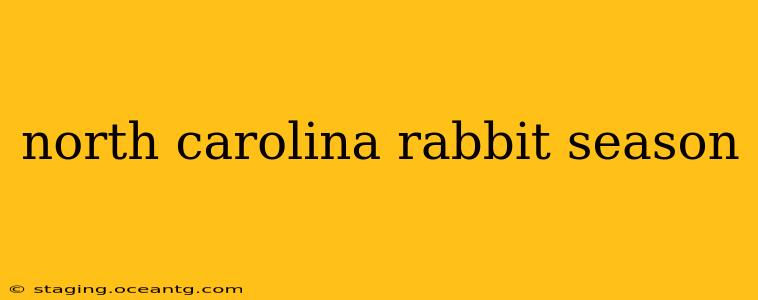 north carolina rabbit season