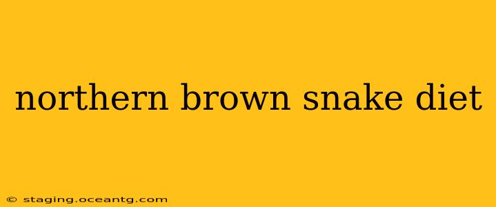 northern brown snake diet