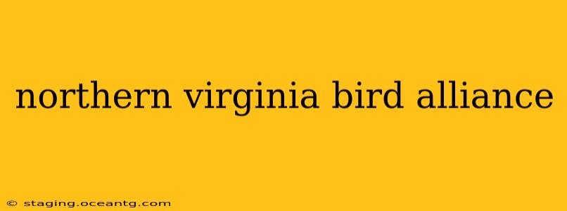 northern virginia bird alliance