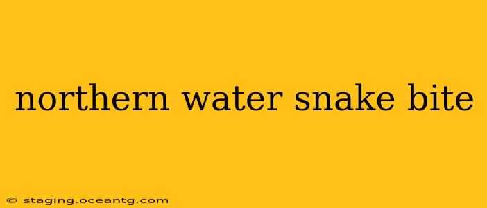 northern water snake bite