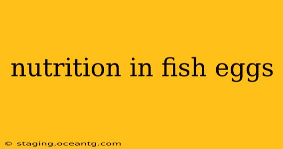 nutrition in fish eggs