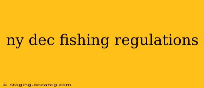 ny dec fishing regulations
