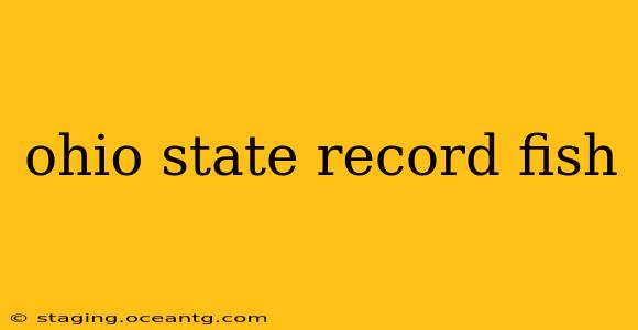 ohio state record fish