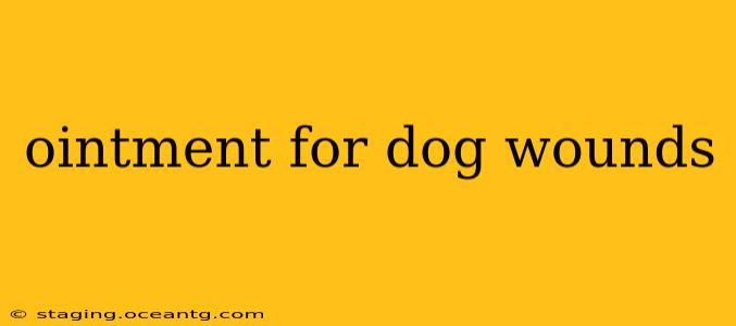 ointment for dog wounds