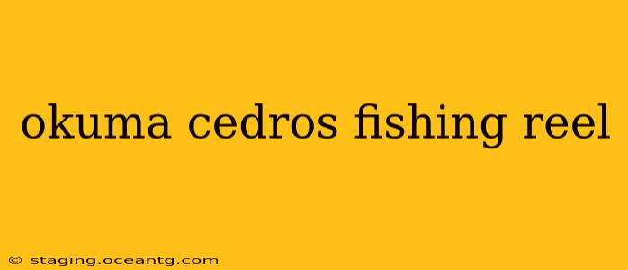 okuma cedros fishing reel