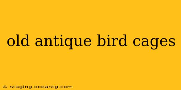 old antique bird cages