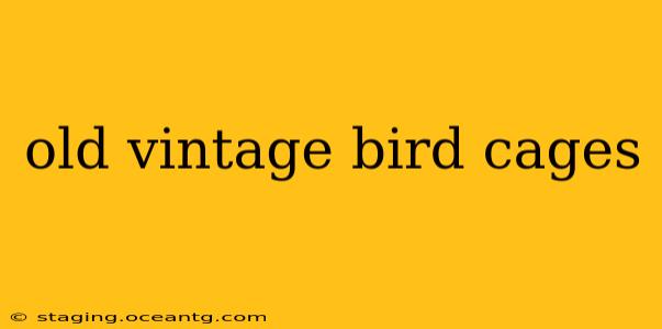 old vintage bird cages
