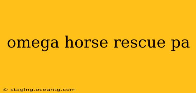 omega horse rescue pa