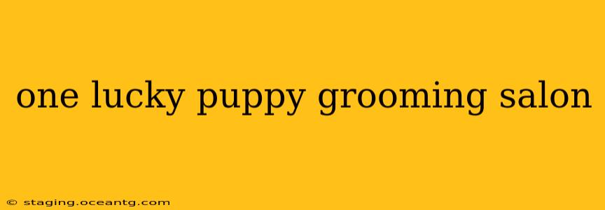 one lucky puppy grooming salon