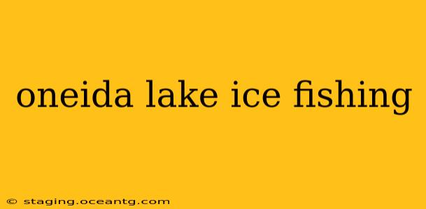 oneida lake ice fishing