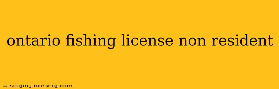 ontario fishing license non resident