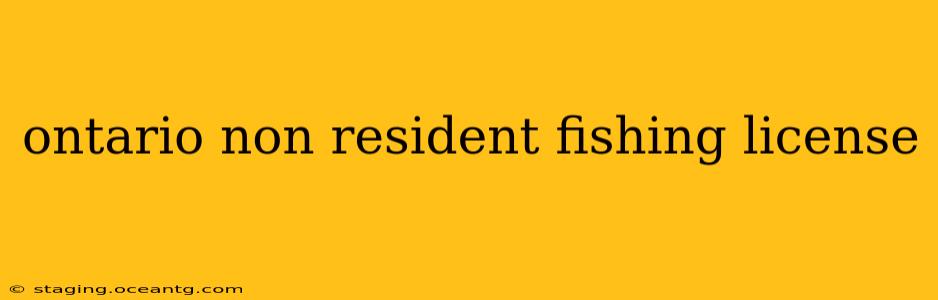 ontario non resident fishing license