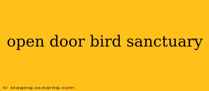 open door bird sanctuary