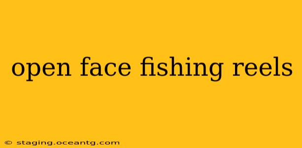 open face fishing reels