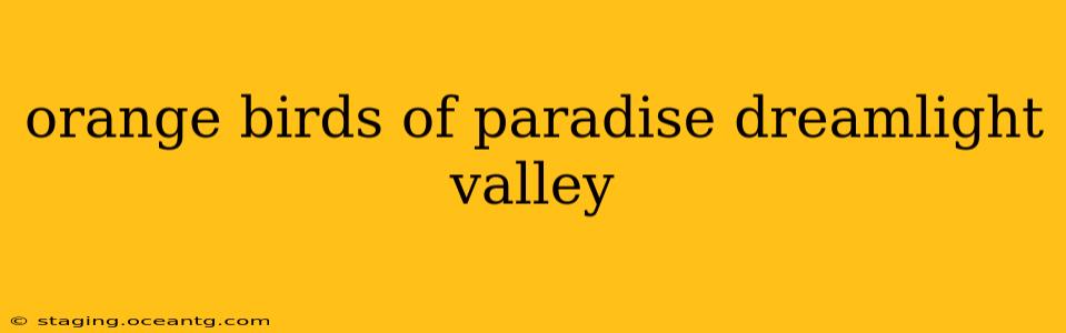 orange birds of paradise dreamlight valley