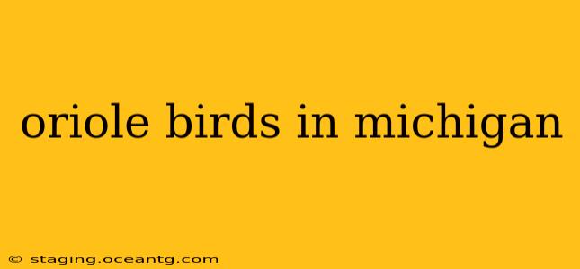 oriole birds in michigan