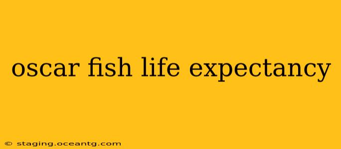 oscar fish life expectancy