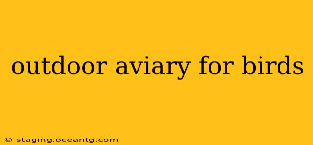 outdoor aviary for birds