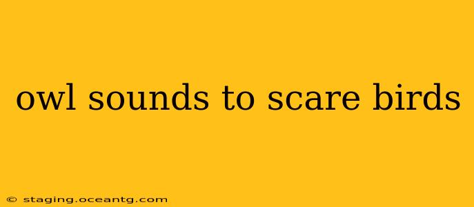 owl sounds to scare birds