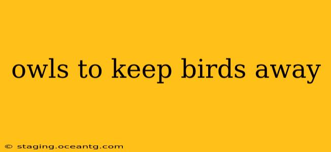 owls to keep birds away